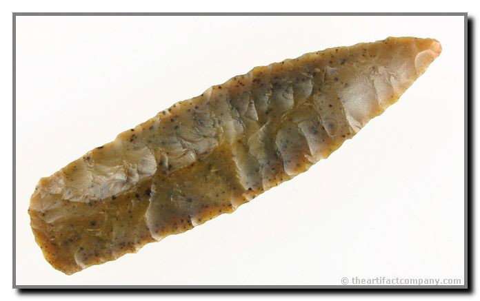 2 13/16" Cody Complex - Jackson COA: Pretty example in a translucent Trout Creek chalcedony. Jackson COA.