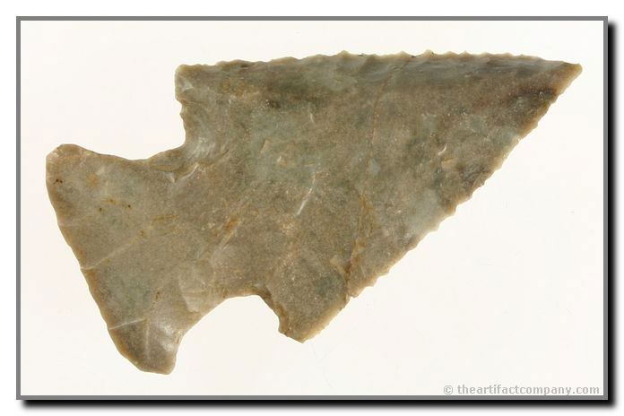 2 1/2" Lost Lake: Lightly serrated example found by John Miller in Clay Co., Indiana. Pretty multicolor Hornstone or Sonora flint.
