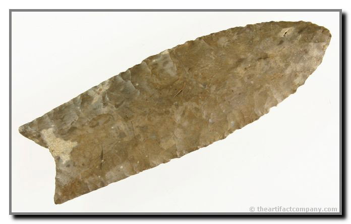 3 5/8" Clovis - Rogers & Jackson COA's - 2