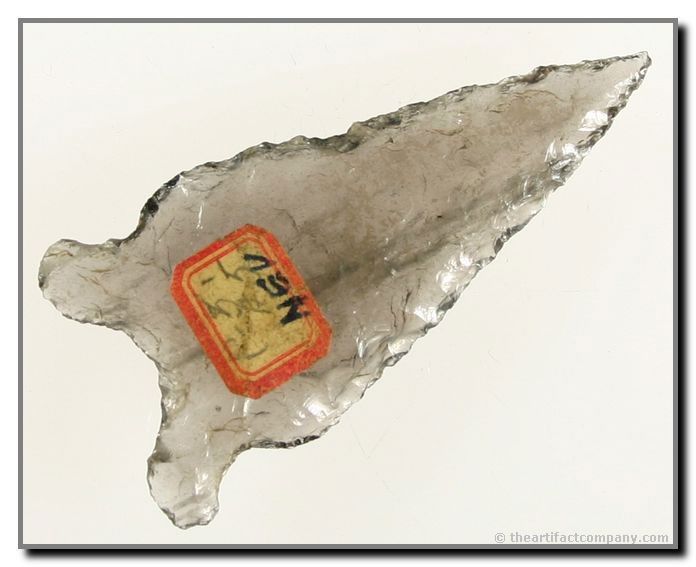 2 1/4" Oxbow: Nearly clear Obsidian example from Nevada. Ex - Jack Litchfield Collection.