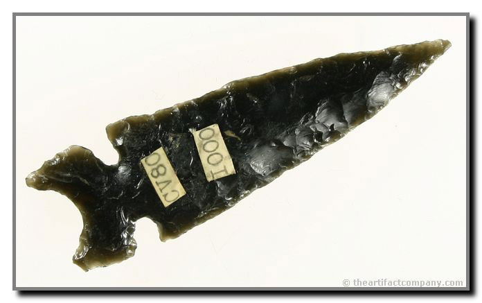 2 3/4" Northern 'Fox Ear': Pretty dark obsidian from Northern California. Ex - Jack Litchfield Collection.