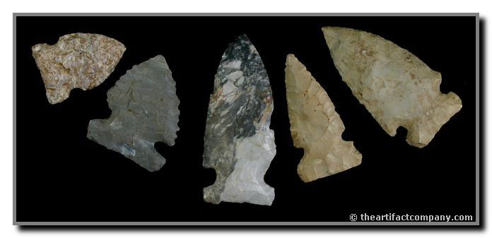 Dealer Lot Of 5 Big Sandys From Indiana: 5 great Big Sandys ranging in size from 1 3/8" to 2 9/16". They were all found in Clay Co., Indiana by John Miller.