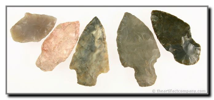 Mini-Collection Of 5 Nice Indiana Adenas: This colorful lot of 5 Adenas includes a fantastic translucent piece. They were found in Clay Co., Indiana by John Miller. Lengths up to 2 11/16".