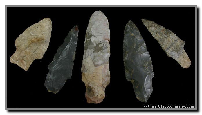5 Great Indiana Adenas: 5 Adenas found in Clay Co., Indiana by John Miller. The longest one measures 3 5/8".