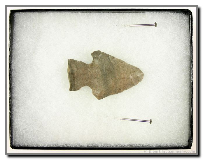 1 3/4" Archaic Corner Notch: Warren Co., Indiana. Attica Chert. Includes display case.