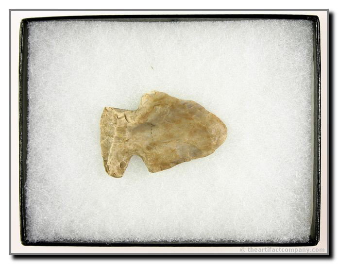1 3/4" Thebes Alternat Bevel: ID'ed by the owner. Nicely ground base. Nice condition. Display frame included. Ex- James Leak Collection. Warren Co., Indiana.
