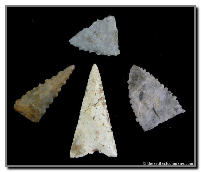 4 Extremely Nice Indiana Triangles with Size and Se: Biggest is 1 1/2". Found by John Miller in Clay Co., Indiana.