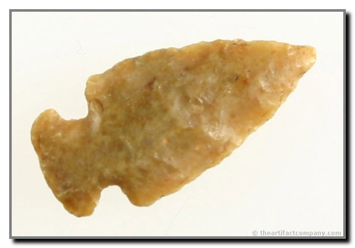 1 7/16" Knights Island: Carter Cave from Kentucky. Thin and translucent.