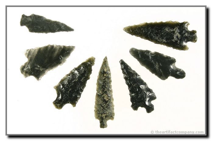 Mini-Collection Of 7 Stemmed Form Points From Orego: 7 various Obsidian stemmed points from Klamath Co., Oregon that are beautifully crafted from Obsidian. Ex- Bodle.