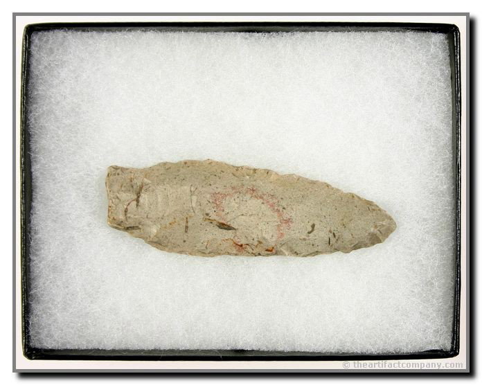 2 3/4" Benton: ID'ed by the owner. Nice condition. Jeffersonville Chert. Display frame included. Ex- James Leak Collection. Warren Co., Indiana.