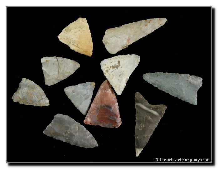 Mini-Collection Of 10 Birdpoints From Indiana: 10 great Birdpoints that were found by John Miller in Clay Co., Indiana. Lengths up to 1 3/8".