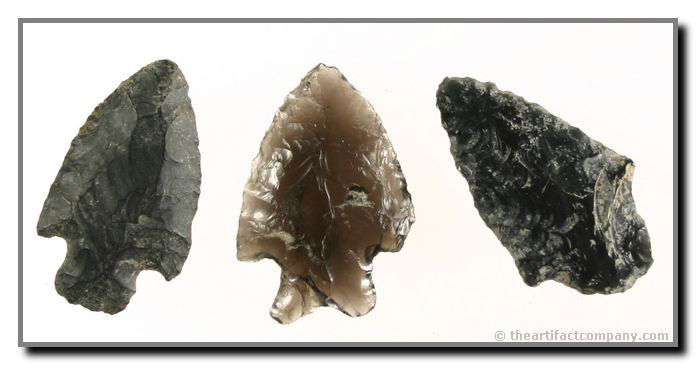 3 Attractive Obsidian Points From Oregon: 2 notched form and 1 stemmed form. 1 piece is nicely translucent. All roughly 1 3/4" in length. These Obsidian points are from Klamath Co., Oregon and are out of the Bodle collection.