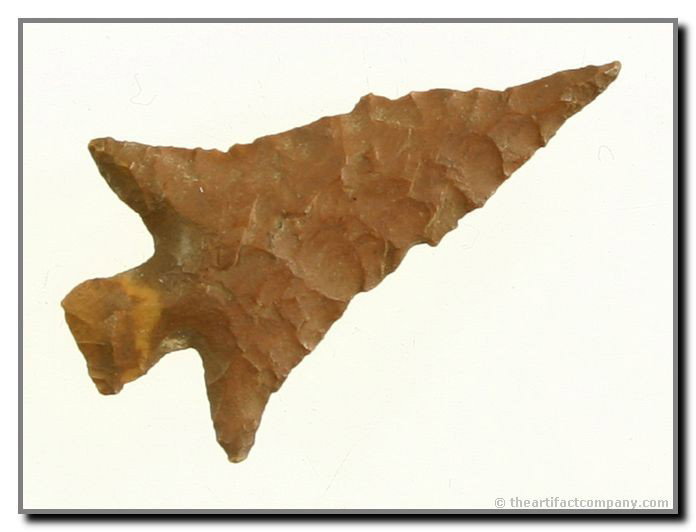 1 3/8" Sabinal - Jackson COA: Awesome maroon Jasper. Long expanding wings and a needle tip.. Super thin to boot. Spiro Mound, Oklahoma. Ex- C.W. Cooperider Collection (the original leaseholder on Spiro). Jackson COA.