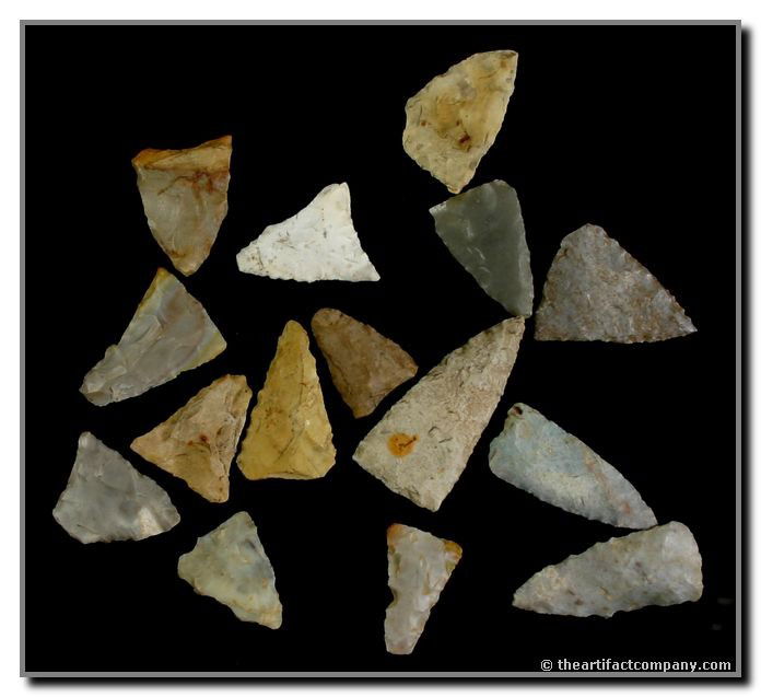 Collection OF 15 Indiana Birdpoints: 10 great Birdpoints found by John Miller in Clay Co., Indiana. This lot includes some translucents and lengths up to 1 3/8".