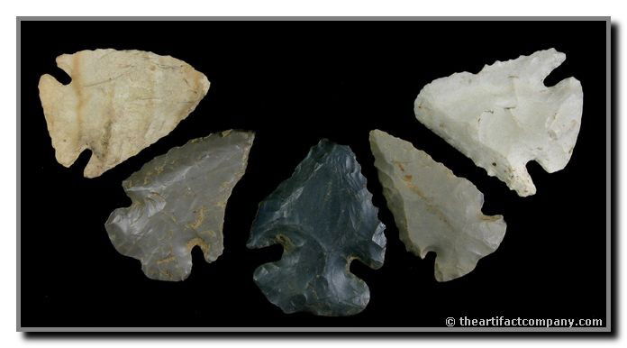 Mini-Collection OF 5 Indiana Dovetails: 5 Dovetails of various shades of cream and gray. They are symmetrical and measure up to 1 5/8". Found in Clay Co., Indiana by John Miller.