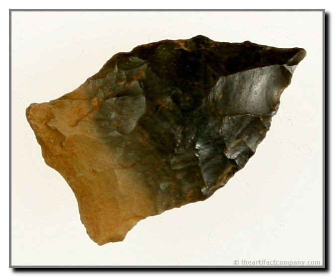 1 3/16" Arkansas Dart: Great two tone material. Has distinctly ground lateral basal edges. Found by Guy G. Moore in Saline Co., Arkansas.