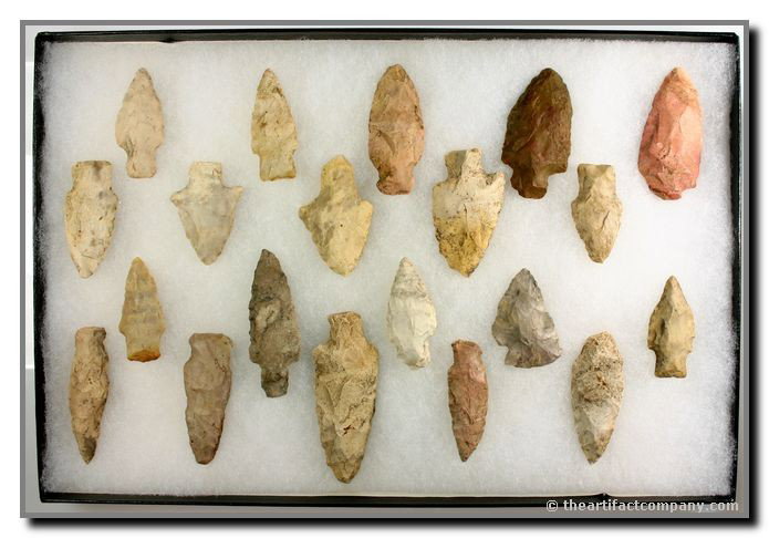 Dealer Lot of 20 Indiana Adenas: 20 Adena points with lengths up to 2 7/8" from Warren Co., Indiana. Nice selection of colors. Ex- James Leak Collection.