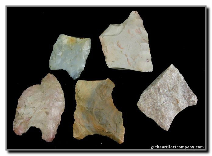 Mini-Collection Of 5 Paleo Bases: 5 various Paleo bases found by John Miller in Clay Co., Indiana. This lot contain a nice translucent and the largest is 1 1/2" long.