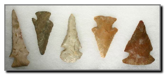 5 Early Archaic Knives: Lost Lake, Hardin, Thebes, etc. represented. Central Kentucky. Longest 2 7/8"
