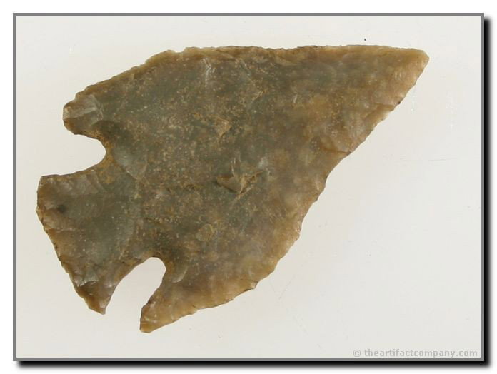 1 7/8" Jacks Reef - Jackson COA: Wafer thin! Great size! Carter Cave with great translucency. Nicholas Co., Kentucky. Jackson COA.