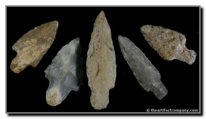 5 Nice Indiana Adenas: With nice colors and lengths up to 3 1/2" this lot simply a great addition to your collection. Found by John Miller in Clay Co., Indiana.