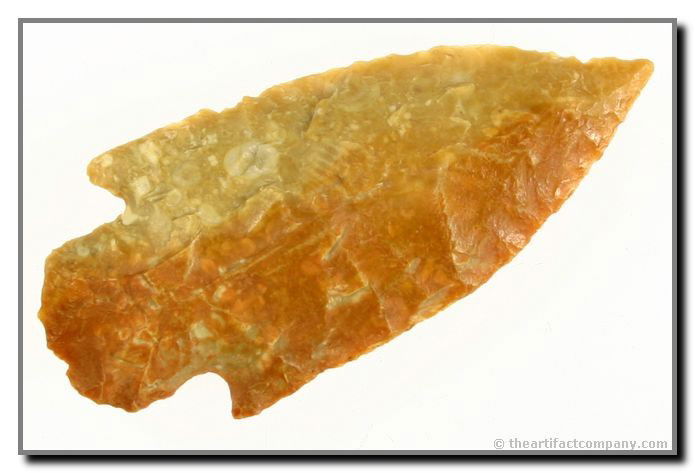 2 3/4" Stemmed Point: Exceptional quality. Very thin and well flaked. Excellent color. Nice stem and barbs. Found by John Miller in Clay Co., Indiana.