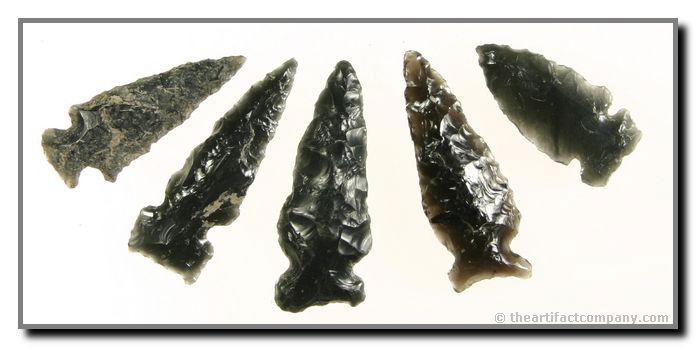 5 Fantastic Side Notched Obsidian Points: This lot of 5 includes a great Northern side notch. Lengths up to 1 3/4". All these Obsidian points are out of Klamath Co., Oregon. EX- Bodle.