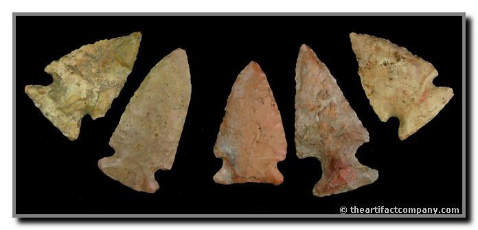 5 Extra Nice Notched Points: These 5 fantastic notched points were found in Clay Co., Indiana by John Miller. They are pretty hues of tan and pink, and measure up to 1 7/8" in length.