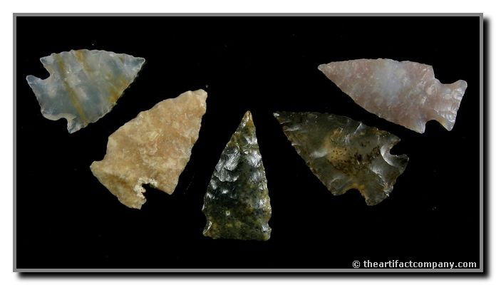 5 Nebraska Points: Nice cluster of high quality material. Lincoln Co., Nebraska. Ex - George Green Collection. Longest 1 3/16"