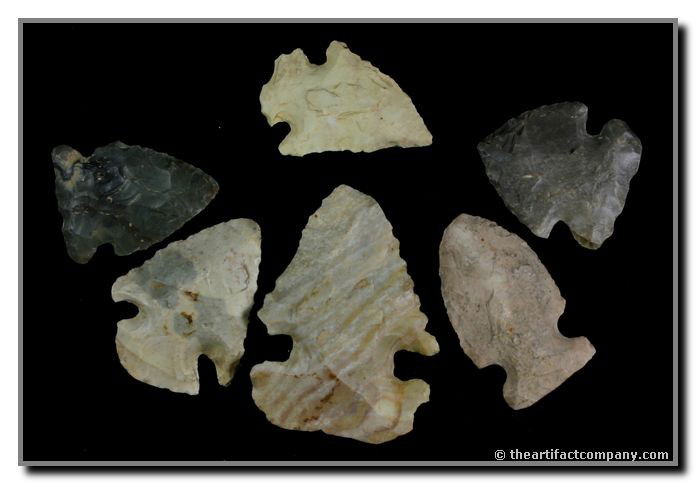 Dealer lot Of 6 Indiana points Including Dovetails: This lot consists of 1 Thebes, 2 Dovetails, and 3 Big Sandys. All are beautiful, and the measure up to 2 1/8" long. Found by John Miller in Clay Co., Indiana.