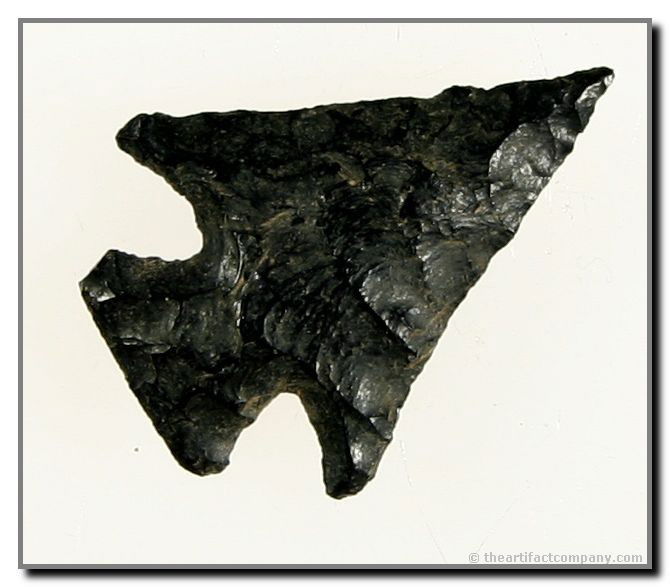 Nice Hell's Canyon Point From Oregon: This fantastic Obsidian Hell's Canyon from Oregon measures 1 3/16".