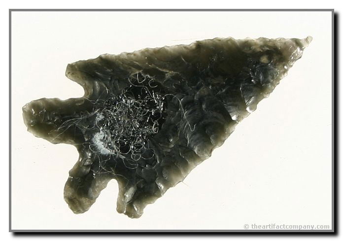 Perfect Obsidian Elko From Oregon: This point is perfect in construction and form. It has great flaking and a striped translucent Obsidian material. It is 1 3/4" long and was found by Justin Matthews in Klamath Co., Oregon.