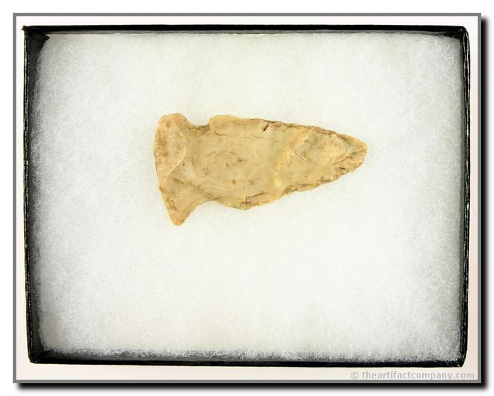 2 1/16" Gibson: Holland chert. Warren Co., Indiana. Includes case.