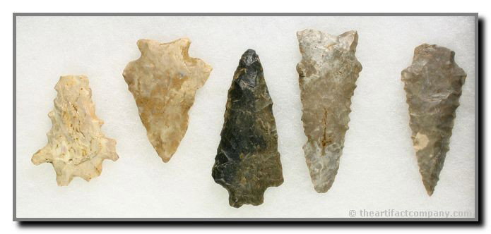 5 Early Archaic Points: Kirk, Stilwell, Decatur.. Central Kentucky. Longest 2 9/16"