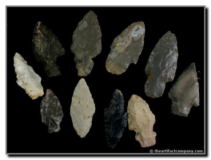 Mini-Collection of 10 Indiana Adenas: Nice group of 10 Adenas From Clay Co., Indiana. They were found by John Miller and are up to 2 1/4" in length.