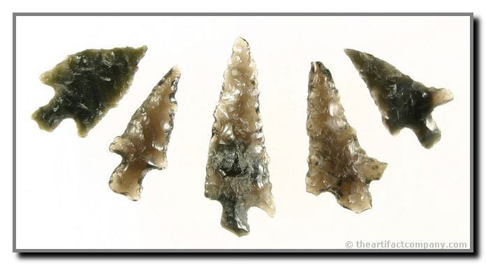 5 Translucent Stemmed Darts From Oregon: All 5 of these Obsidian pieces from Klamath Co., Oregon have great translucency and mineralization. They are up to 1 3/8" long and are Ex - Bodle.