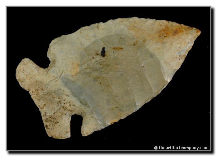 2 5/8" Thebes: Nice size. Great 'Bulls-Eye' in the material. Found by John Miller in Clay Co., Indiana.