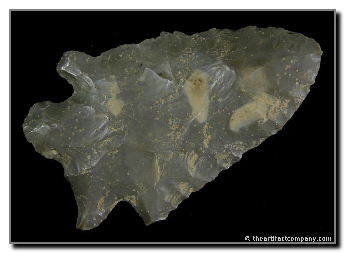 2 5/8" MacCorkle: Glossy high grade two two Fort Payne chert. Good size. Nice serrations. Thin for the type. Found by John Miller in Clay Co., Indiana.