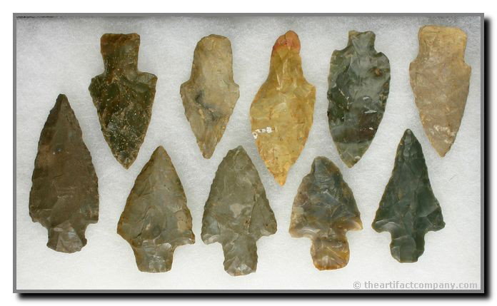 10 Nice Adena/Stemmed Points: All from Central Kentucky. Fort Payne, Sonora, Boyle, Hornstone cherts. Longest 2 1/2"