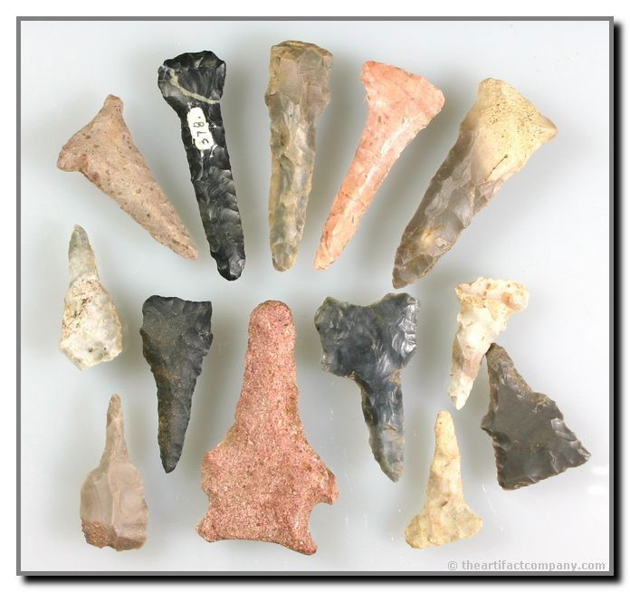 Bakers Dozen Colorful Indiana Drills