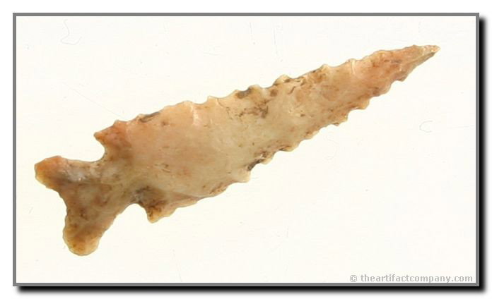 1 1/8" Edwards - Jackson COA: Absolute perfection. Super serrations. Spiro Mound, Oklahoma. Ex- C.W. Cooperider Collection (the original leaseholder on Spiro). Jackson COA.