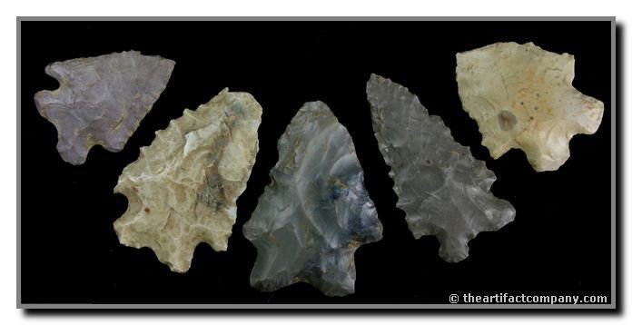 Mini-Collection Of 5 Bifurcates From Indiana: 5 great tan and gray Bifurcated points found in Clay Co., Indiana by John Miller. Lengths up to 2".