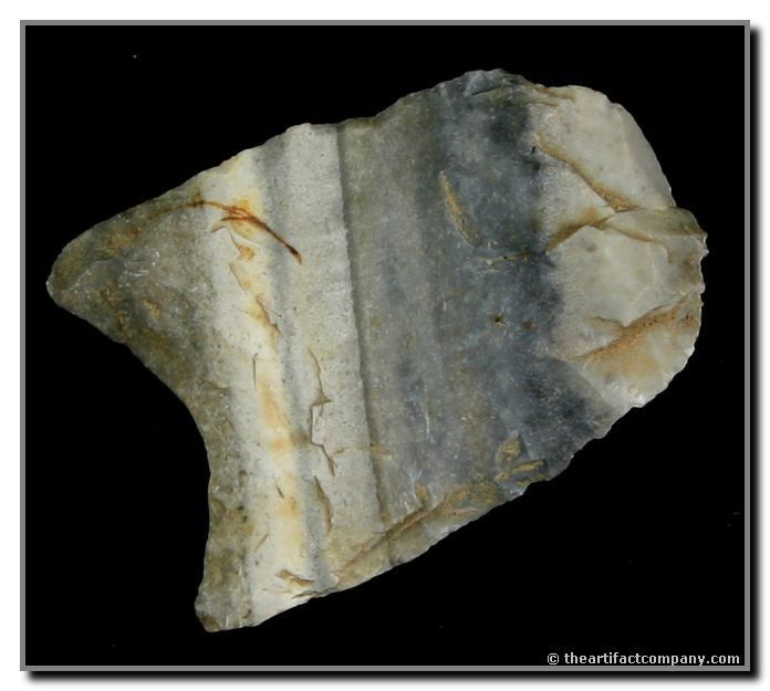 1 1/2" Clovis: Used as a hafted scraper. Amazing color. Great for any Paleo frame. Found by John Miller in Clay Co., Indiana.