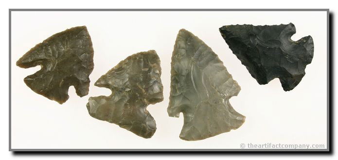4 Fantastic Early Archaic Points From Indiana: These 4 early Archaic points are various shades of high grade gray and measure up to 2". They found by John Miller in Clay Co., Indiana.