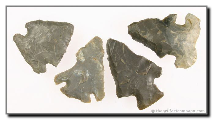 4 Nice Early Archaic Hornstone Points: 4 great Early Archaic points found in Clay Co., Indiana by John Miller. These Hornstone pieces come in lengths up to 2 1/4".