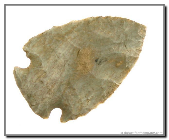 1 7/8" Snyders: Really a sweetheart. Great form, symmetry, thinness, and color. Illinois.