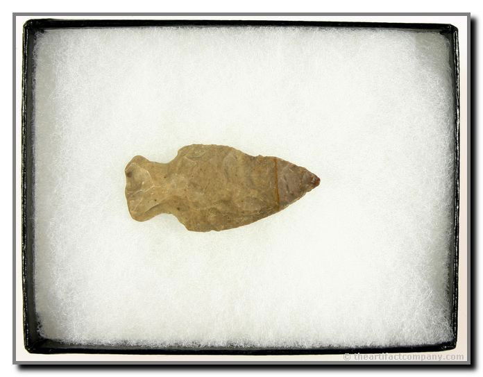 1 7/8" Lamoka Stemmed: ID'ed by the owner. Nice condition. Display frame included. Ex- James Leak Collection. Warren Co., Indiana.