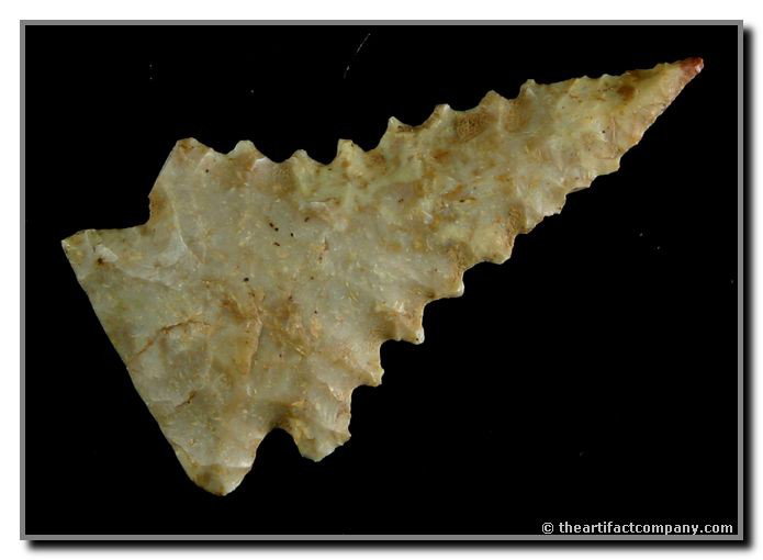 2" Pinetree: Pretty Boyle Chert with lethal serrations. Nicholas Co., Kentucky.
