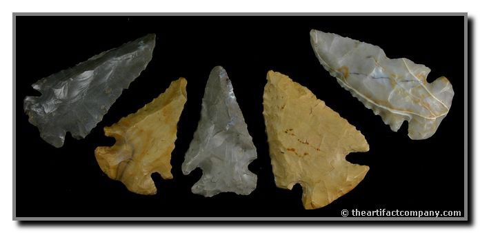 5 Gorgeous Indiana Dovetails: These 5 Dovetails have stunning color and measure up to 2 7/16". They were found by John Miller in Clay Co., Indiana.