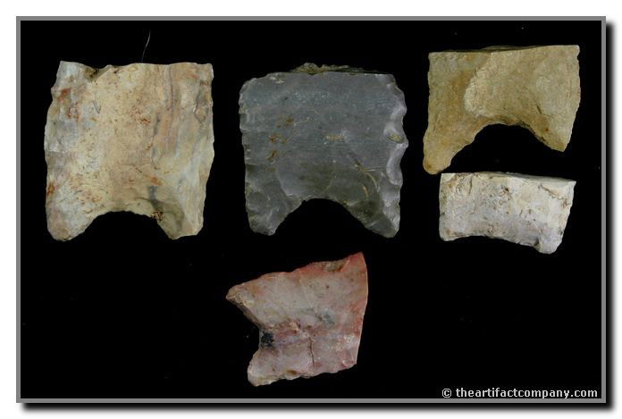 Mini-Collection of 5 Clovis Bases: 5 colorful Clovis bases found in Clay Co., Indiana by John Miller. These great pieces measure up to 1 5/16" in length.